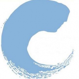 Preeclampsia Foundation Official Site