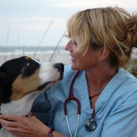 Animal Wellness World