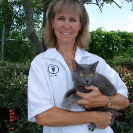 Cocoa Veterinary Hospital