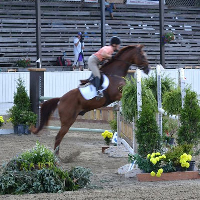 Wisdom Equestrian Farm