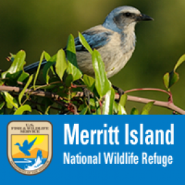 Merritt Island National Wildlife Refuge